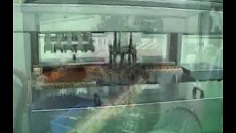 Automatic Packer for Gable Top Carton Packaging