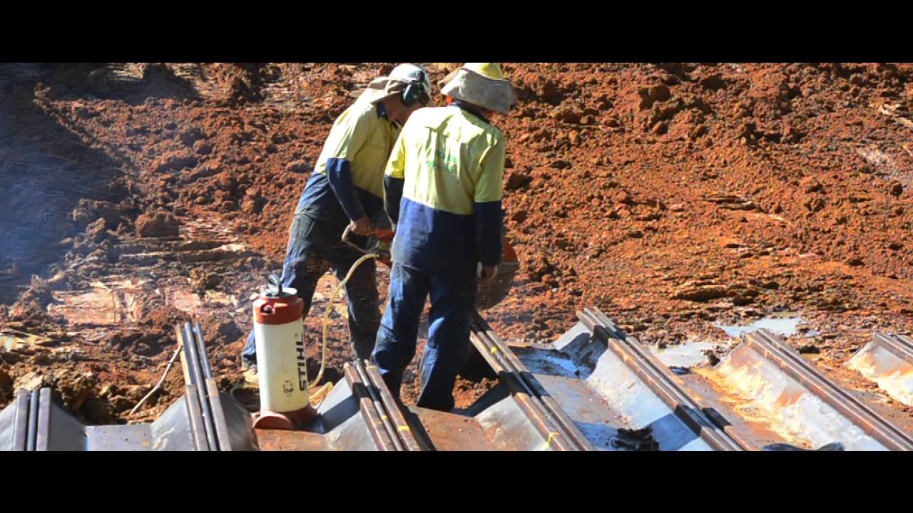 Large 140 y/o Port Jackson Fig Gets New Home (Long Version)