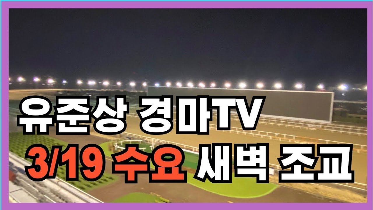 유준상 조교방송 3/19 수요 새벽조교 경마 실황방송
