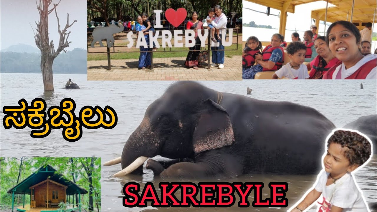 Sakrebylu Elephant Camp|Must Visit Place in Shimoga|ಸಕ್ರೆಬೈಲು