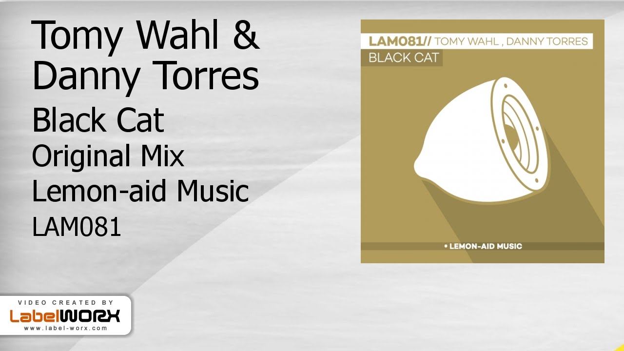 Watch Tomy Wahl & Danny Torres - Black Cat (Original Mix) on YouTube Watch Tomy Wahl & Danny Torres - Black Cat (Original Mix) on YouTube