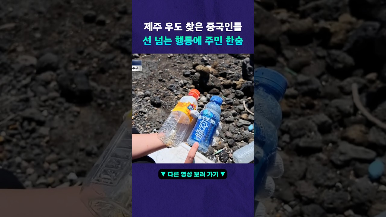 아수라장 된 우도! 이유는 중국인 때문? #뉴픽
