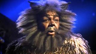 The Battle of the Pekes and the Pollicles - part two. HD, from Cats the Musical - the film.