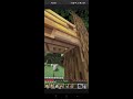 Trolling honeybee 🐝 in Minecraft and this happened 🥺 #shorts #minecraftshorts #trendingshorts