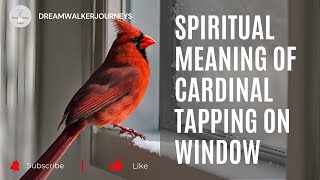 Spiritual meaning of cardinal tapping on window Content
