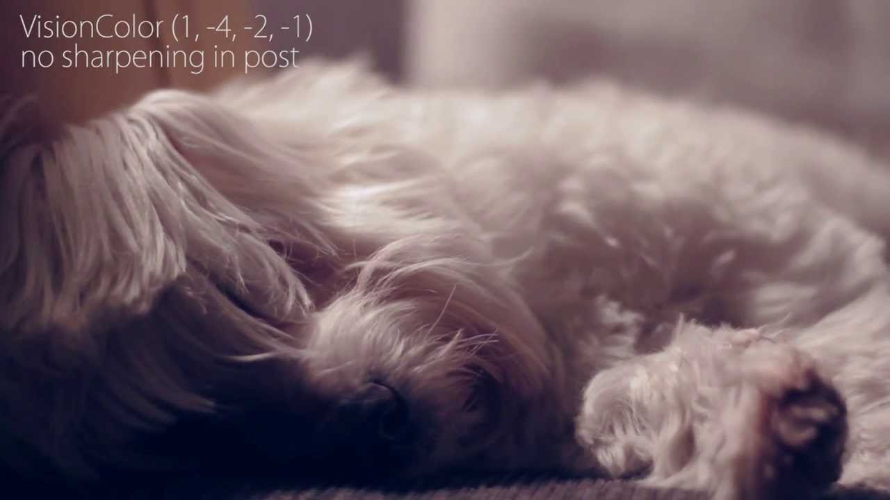 Canon Picture Style comparison (graded)