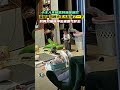 小主人不慎踩到猫咪尾巴 猫咪猫爪朝小主人比划了一下 另外两只猫咪马上冲出来霸气护主 小主人不慎踩到猫咪尾巴 猫咪猫爪朝小主人比划了一下 另外两只猫咪马上冲出来霸气护主