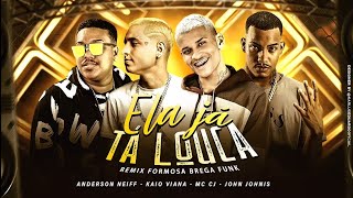 VAI MOSTRAR O PEITIN PRA MIM ELA JÁ TÁ LOUCA - ANDERSON NEIFF, KAIO VIANA E MC CJ REMIX BREGA FUNK