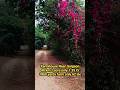 Farm house Near Gurgaon 1860 yards only 62 lacs