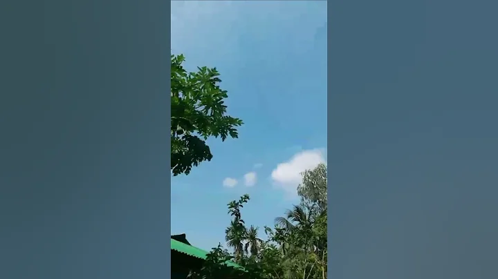 Birds just wanna have fun #shorts #shortvideo #reels #reelsyoutube