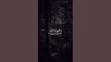 القارئ سلمان العتيبي