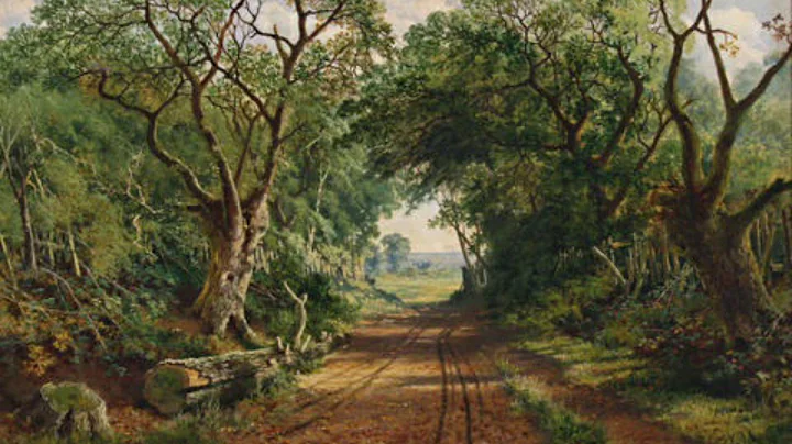 The Land Used to Shine David Dickerson