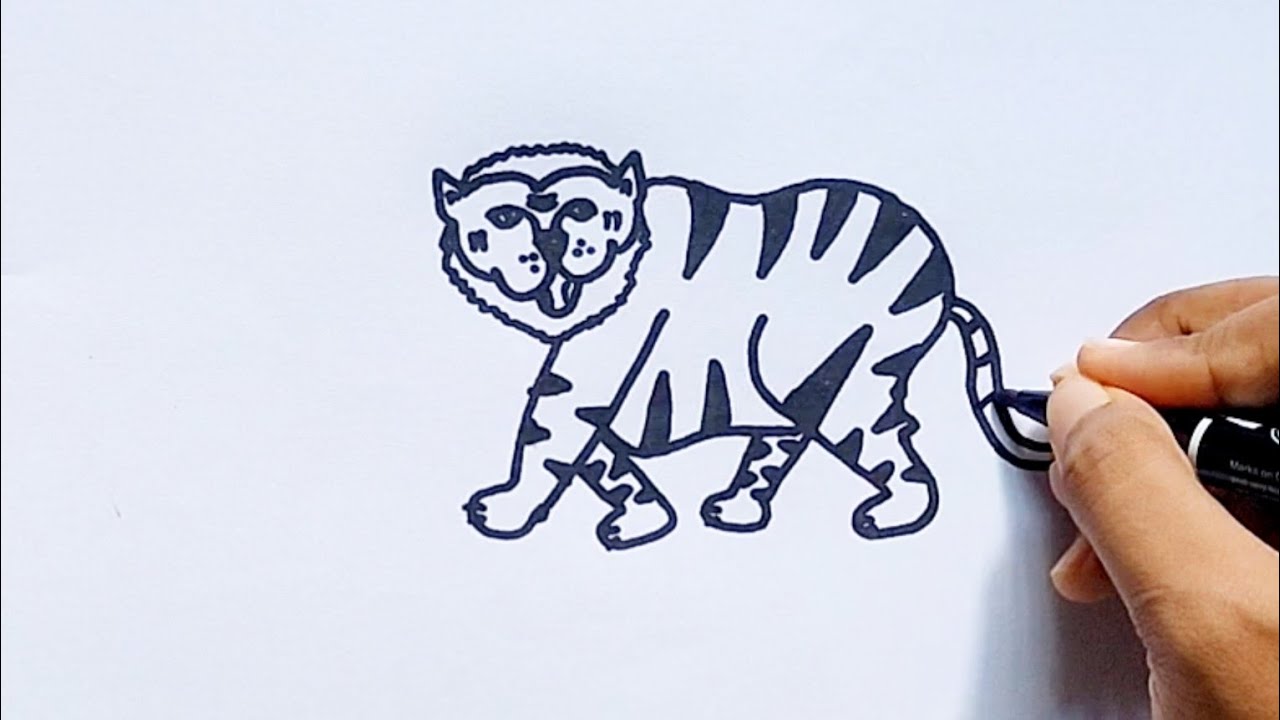 How To Draw Tiger From Y Letters || Tiger Drawing In Simple Method || Pencil Drawing