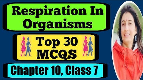 Ncert Class 7 Science | Chapter 10 | Respiration In Organisms | Mcqs | Extra Questions |