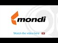 Investment Idea Mondi