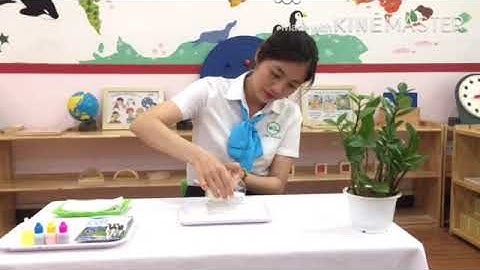 VIDEO SỐ 7: SỰ BÙNG NỔ CỦA SẮC MÀU/CHUỖI VIDEO ĐỒNG HÀNH Ở NHÀ CÙNG CON YÊU