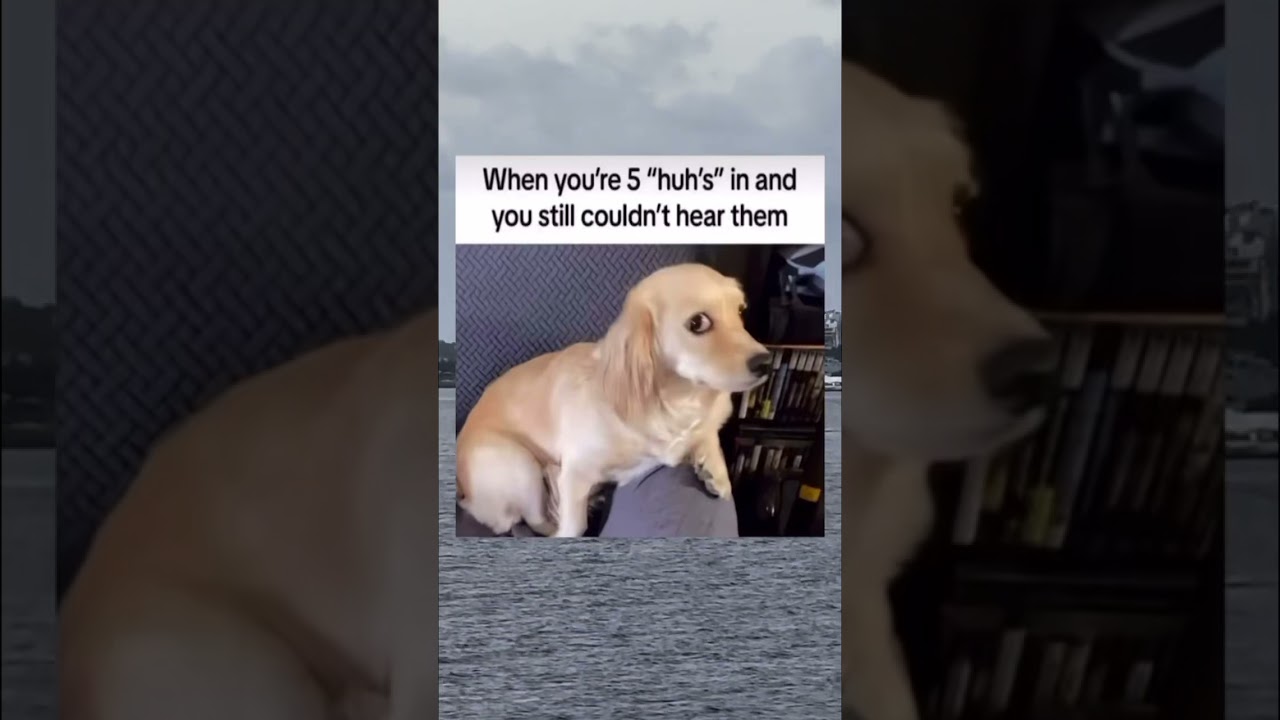HUH??! #memes #relatable #huh #viralshorts #like