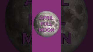 Why didn t I see the Pink Moon
