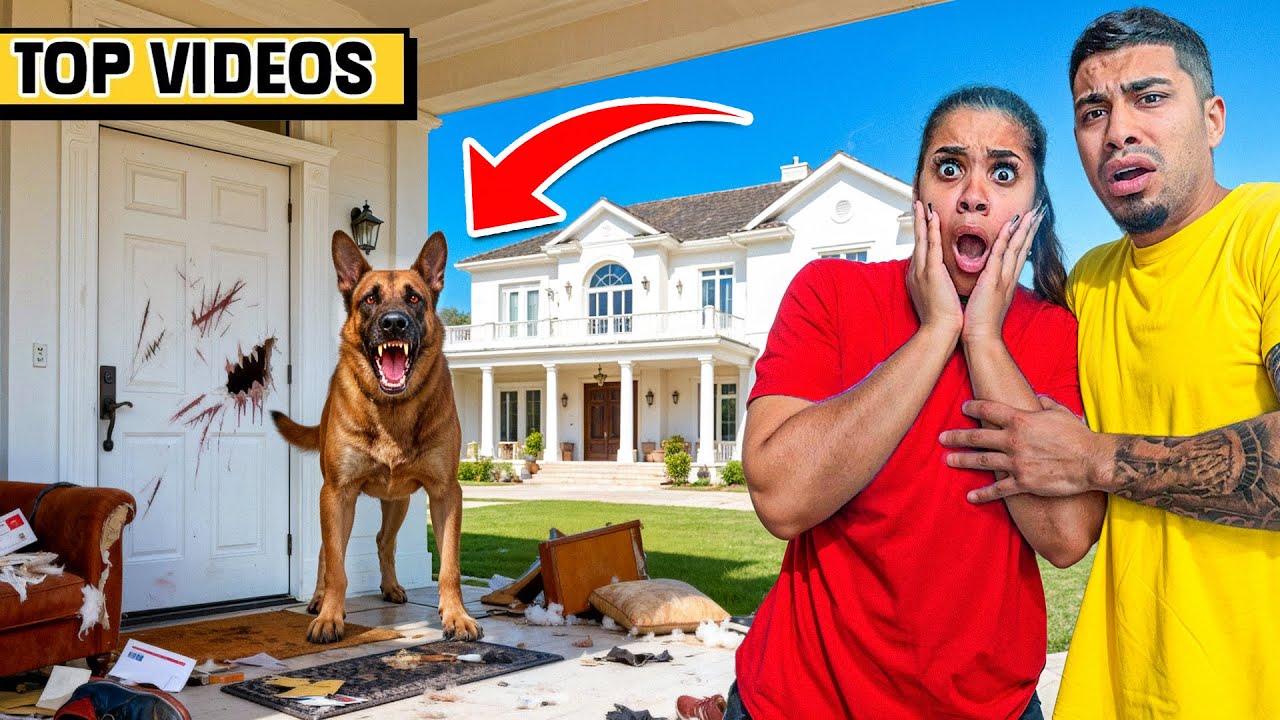 PRANKS THAT BLASTED OUR HOUSE APART!! 😂 | The Trench Family Top Videos