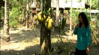 KHMER GO HOME 2014 # 19