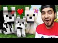 My Minecraft Dog Got a Girlfriend