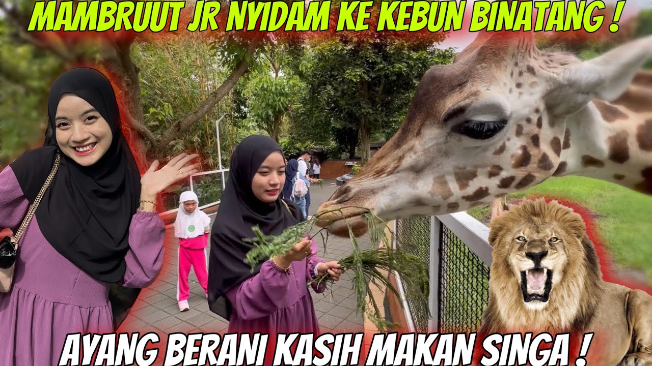 ISTRIKU NYIDAM KASIH MAKAN SINGA ! TOLONGGG !!