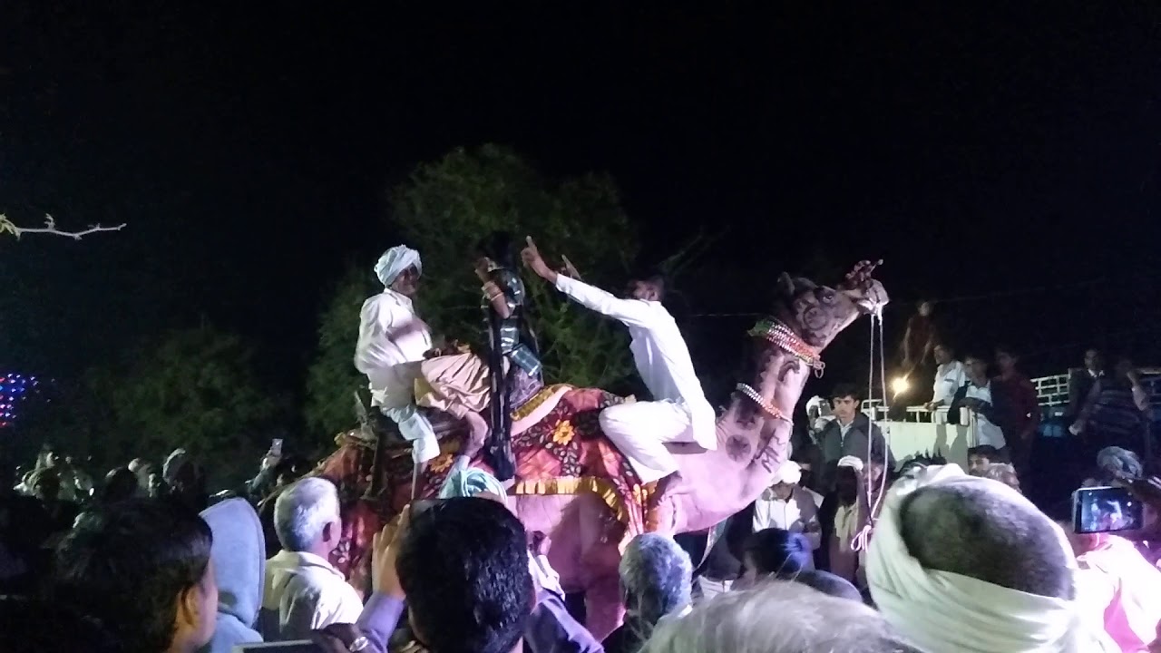 Rajasthani swag 💪 YouTube