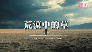 阿默 · 荒漠中的草(硬汉版) | A-Mo – A Blade of Grass in the Desert | 没人撑腰，我也要活得像野火【🎧高质音乐｜动态歌词】#CoolSong酷歌8D