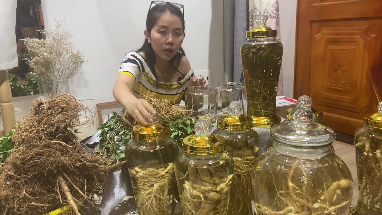 Sâm Đương Quy Tươi Ngâm Mật Ong Lợi Ích Tuyệt Vời Cho Sức Khỏe