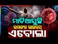 ଏବୋଲା ସଂକ୍ରମଣ ଭୟ | Ebola Virus Alert |Ebola Scare in Karnataka |Odisha News | Odia News |Argus News