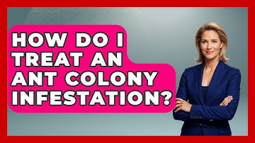 How Do I Treat An Ant Colony Infestation? - Insects and Invaders