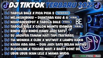DJ TIKTOK TERBARU 2025🎵DJ TABOLA BALE X PICA PICA 2🎵DJ MEJIKUHIBINIU - DIANTARA KAU & A FULL ALBUM