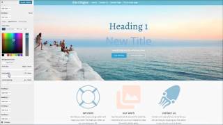 Typography on Wordpress