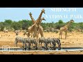 Our Planet Serengeti National Park Tanzania 4K Scenic Relaxation Film With Meditation Music Our Planet Serengeti National Park Tanzania 4K Scenic Relaxation Film With Meditation Music
