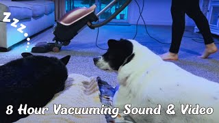 Dog's Point of View | 8 Hour Vacuuming Sound & Video For Sleep With Kenmore Vacuum Cleaner | ASMR