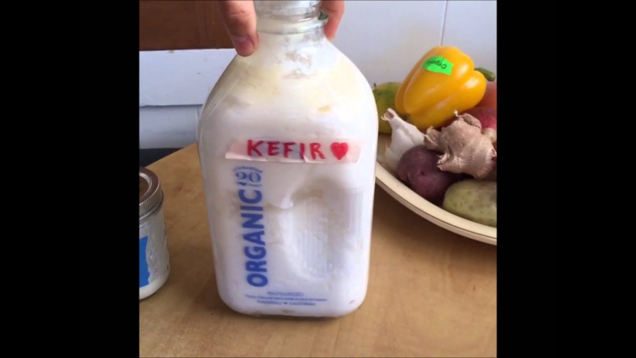 How to Make Milk Kefir [90 Second Lesson] 