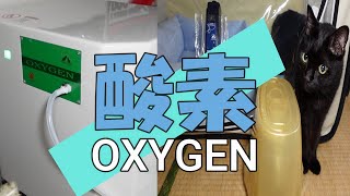 ペット用酸素室　酸素濃縮器　猫　Oxygen chamber for pets Oxygen concentrator Cat　#218