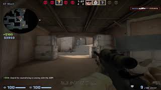 random pug highlights #1