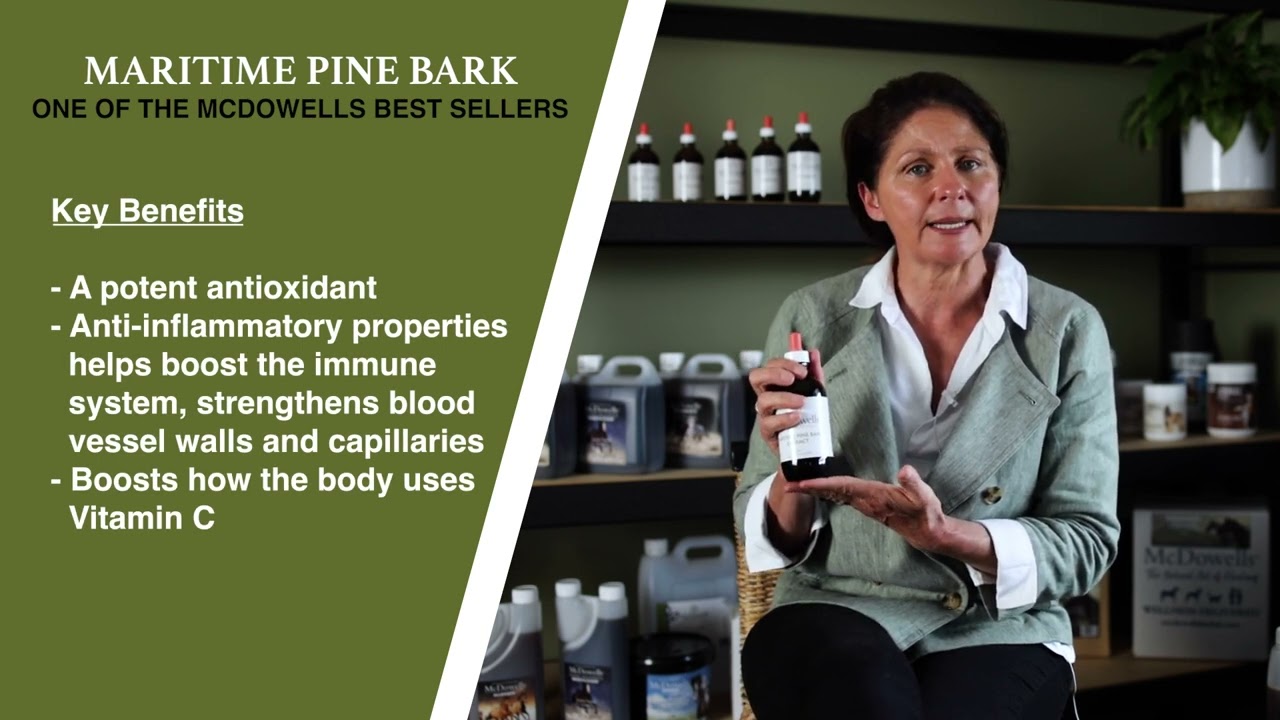 Maritime Pine Bark Product Focus Mindovermetal English