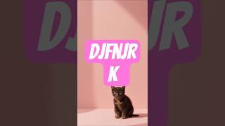 November 28, 2025 Details