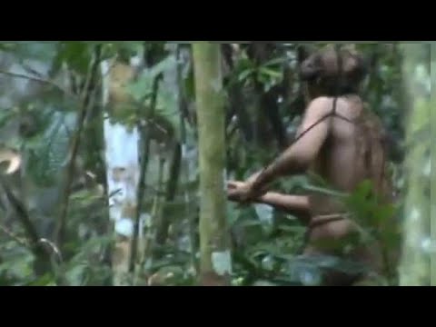 ویدئویی از شکار آخرین عضو یک قبیله در جنگل آمازون