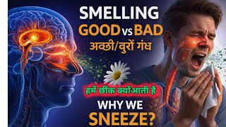 Human Nose Secrets: Smell Ka Decision + Sneezing Ka Reason#Dimag Aur Naak Ka Connection | Smell 