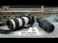 Battle of the Bokeh: Canon 70-200mm f/2.8L IS II USM vs Sigma 70-200mm OS HSM