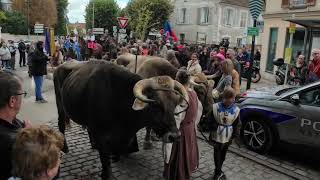 La médiéval 2025 Brie Comte Robert 