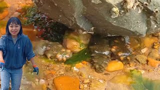 [ENG SUB] Xiao Zhang is driving the sea  and there is a big nest of sea cucumbers beside the stone!