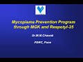 Mycoplasma prevention program through mgk  respotyl25 by drmmchawak