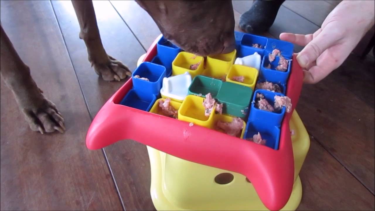 dog miracle puzzle