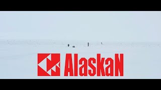Alaskan Promo