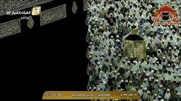 تلاوة رائعة لسورة النبأ للشيخ بندر بليلة فجر 14 صفر 1441هـ