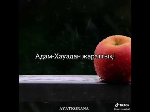 Video: Фолгерлер качан чыккан?